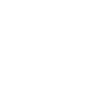 Logo Icon Footer