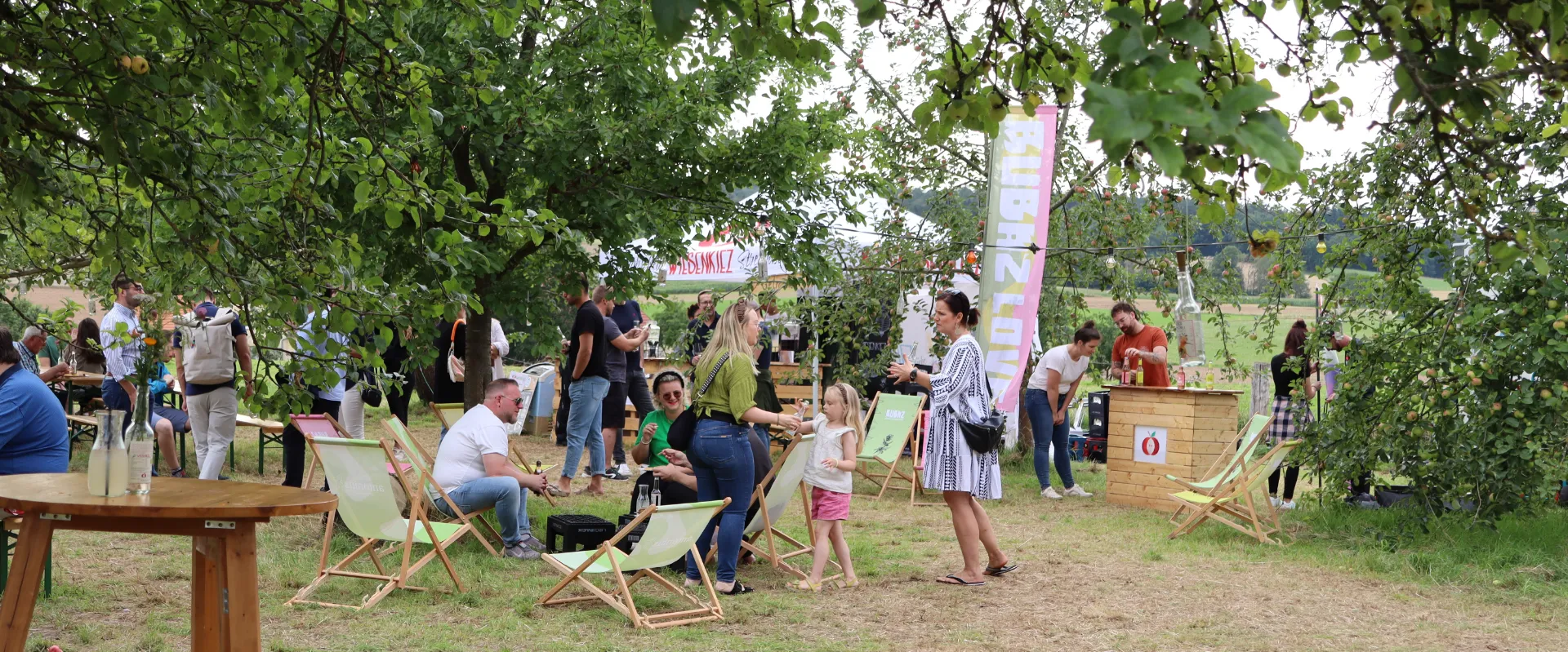blogbeitrag_header_wiesenflimmernl